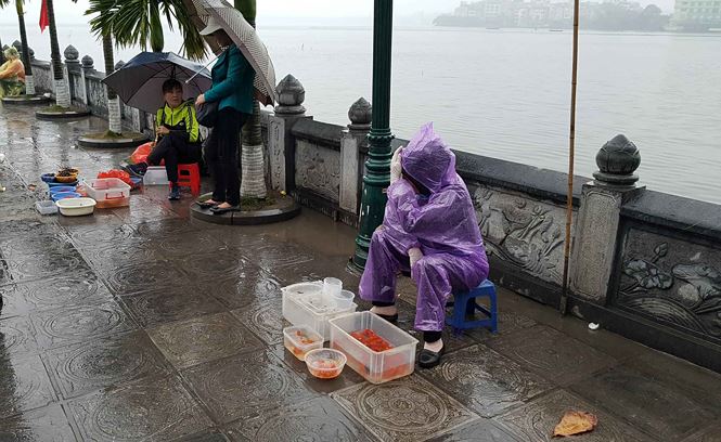 Rùa, cá vừa phóng sinh bị vợt ngay trước mắt tại chùa Trấn Quốc